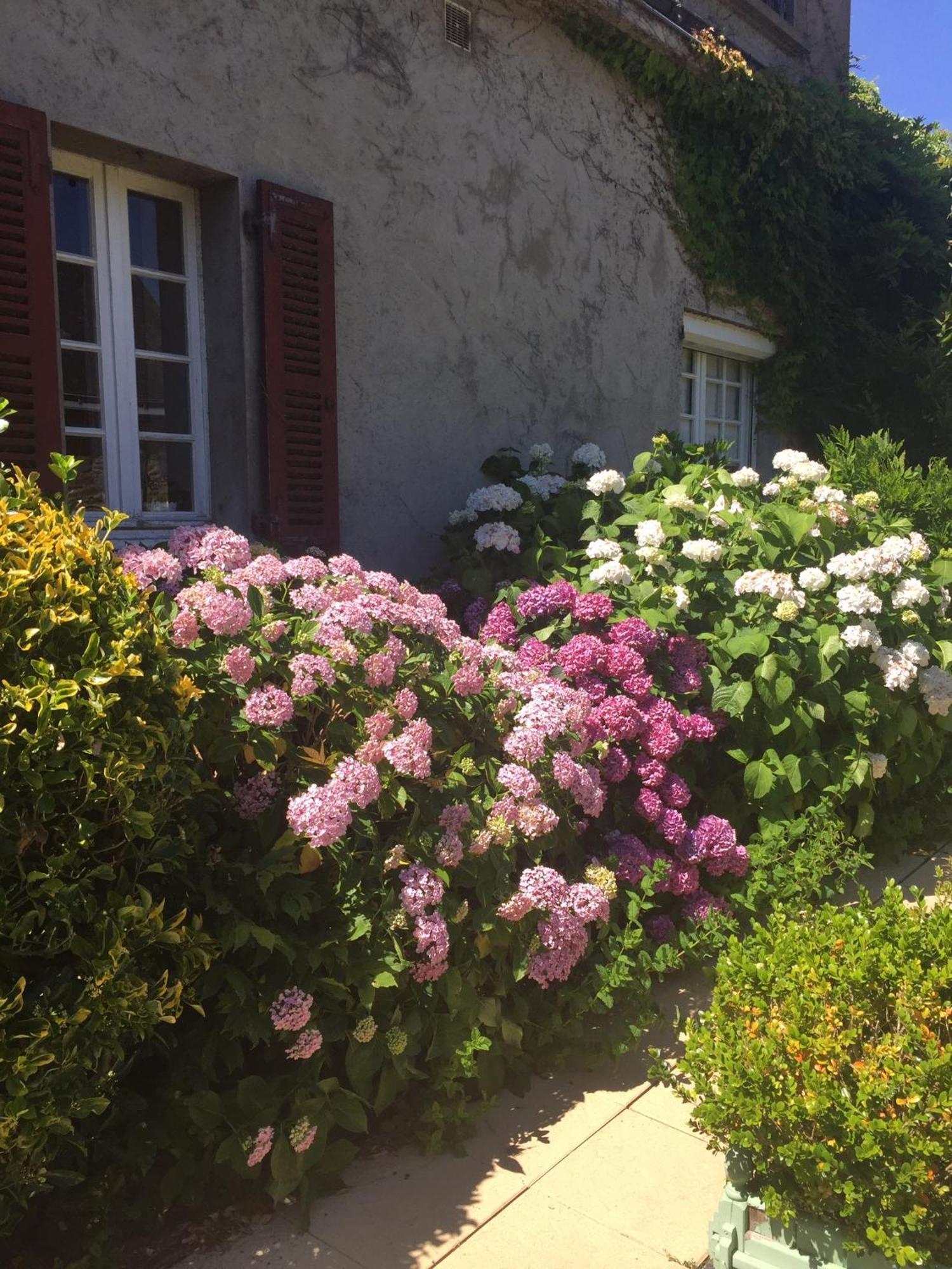 Homestay Chez Beatrice *